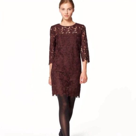 Loft Purple Lace Shift Dress - Long Sleeve - Picture 1 of 5